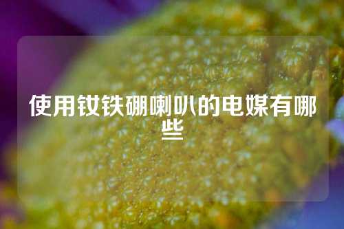 使用钕铁硼喇叭的电媒有哪些