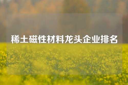 稀土磁性材料龙头企业排名