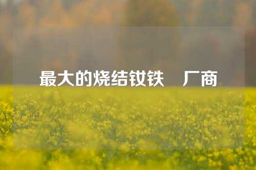 最大的烧结钕铁錋厂商