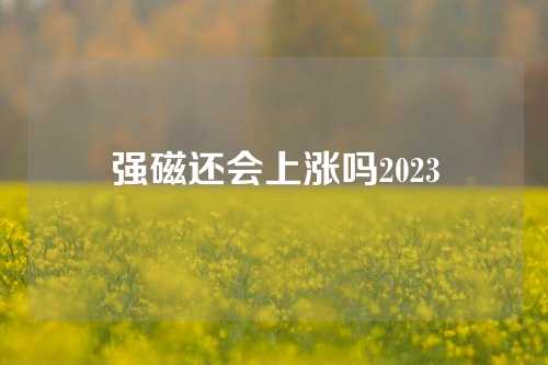 强磁还会上涨吗2023