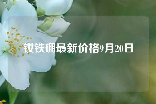 钕铁硼最新价格9月20日