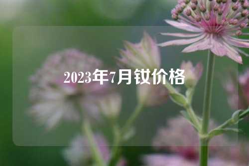 2023年7月钕价格