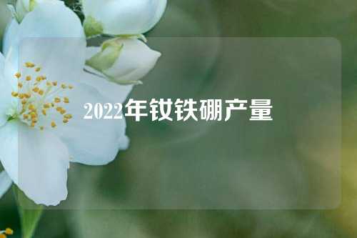 2022年钕铁硼产量