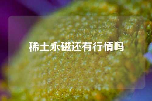 稀土永磁还有行情吗