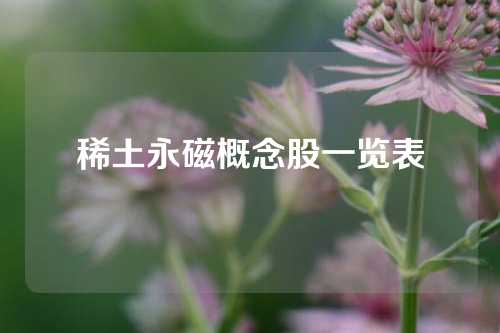 稀土永磁概念股一览表