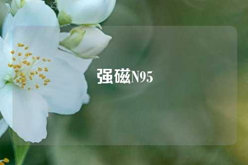 强磁N95