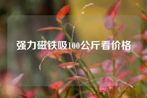 强力磁铁吸100公斤看价格