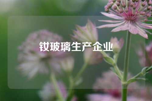 钕玻璃生产企业