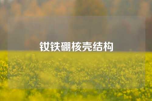 钕铁硼核壳结构