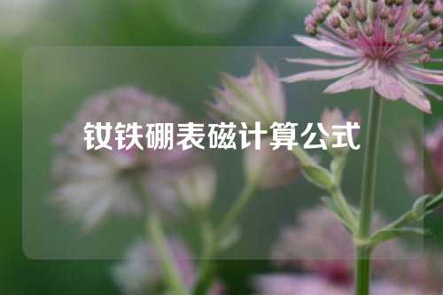 钕铁硼表磁计算公式