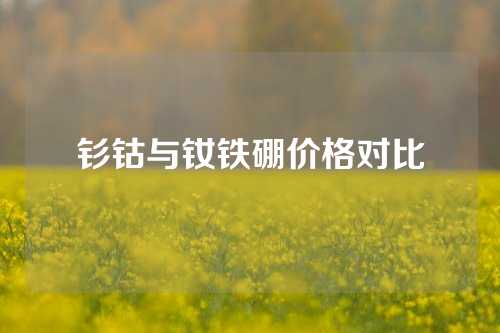 钐钴与钕铁硼价格对比