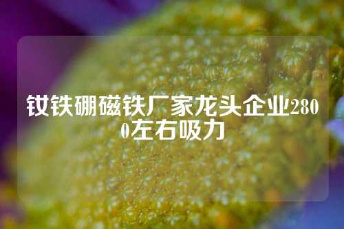 钕铁硼磁铁厂家龙头企业2800左右吸力