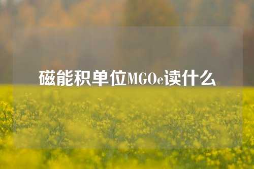 磁能积单位MGOe读什么