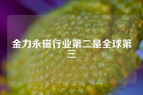 金力永磁行业第二是全球第三