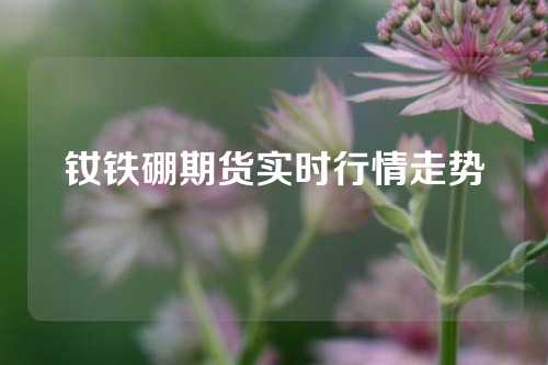 钕铁硼期货实时行情走势