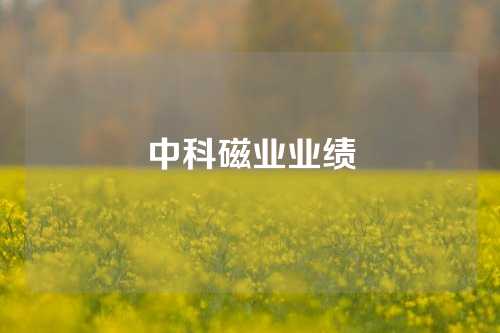 中科磁业业绩