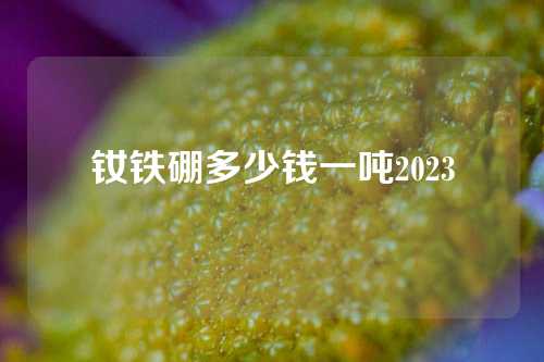 钕铁硼多少钱一吨2023