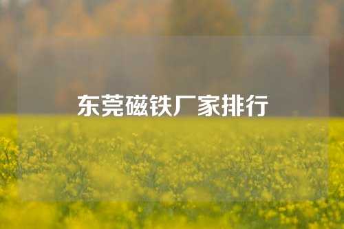 东莞磁铁厂家排行