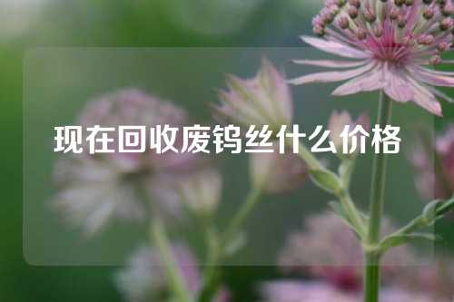 现在回收废钨丝什么价格