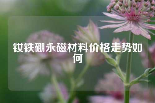 钕铁硼永磁材料价格走势如何