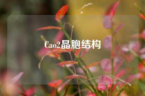 Cao2晶胞结构