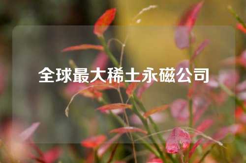 全球最大稀土永磁公司