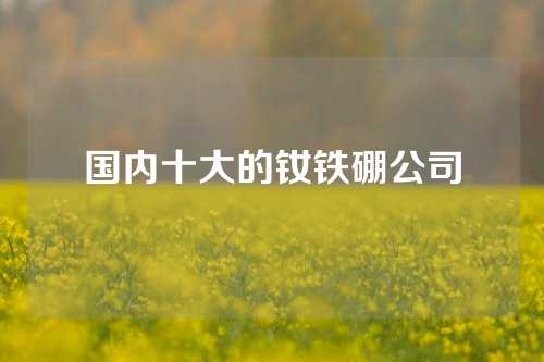 国内十大的钕铁硼公司