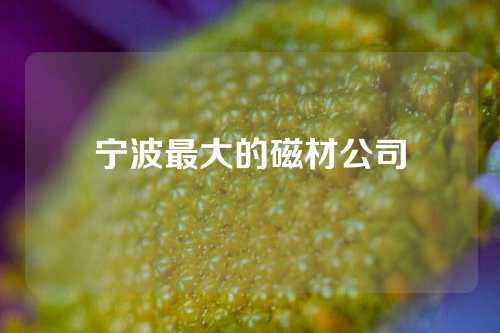 宁波最大的磁材公司