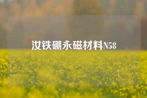 汝铁硼永磁材料N58