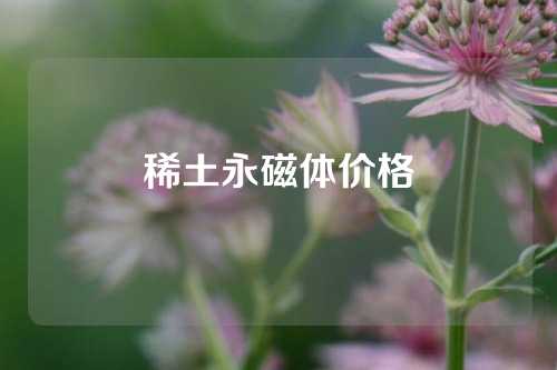 稀土永磁体价格