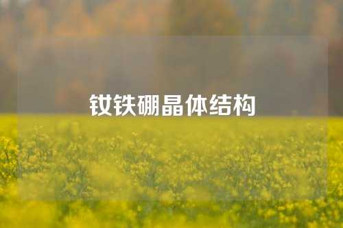 钕铁硼晶体结构