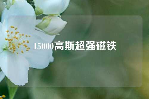 15000高斯超强磁铁