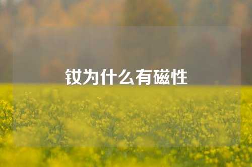 钕为什么有磁性