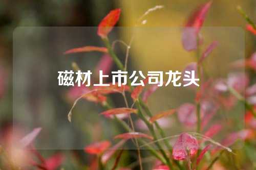 磁材上市公司龙头