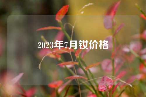 2023年7月钕价格