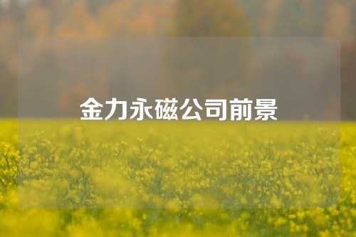 金力永磁公司前景