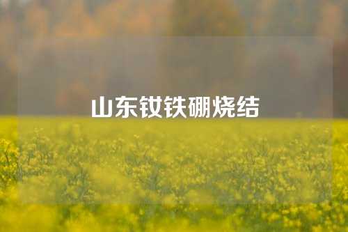 山东钕铁硼烧结