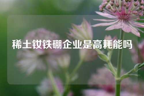 稀土钕铁硼企业是高耗能吗