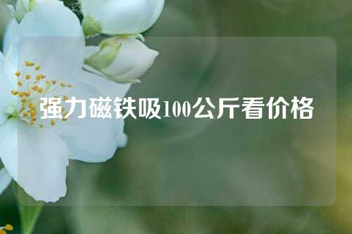 强力磁铁吸100公斤看价格