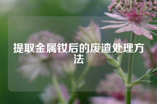 提取金属钕后的废渣处理方法