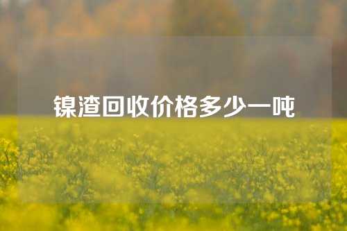 镍渣回收价格多少一吨