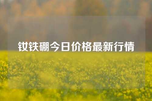 钕铁硼今日价格最新行情