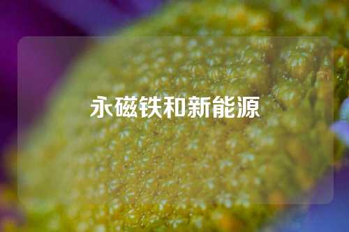 永磁铁和新能源