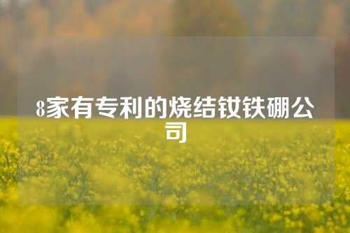 8家有专利的烧结钕铁硼公司