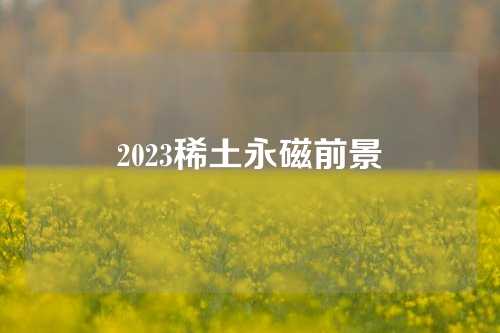 2023稀土永磁前景