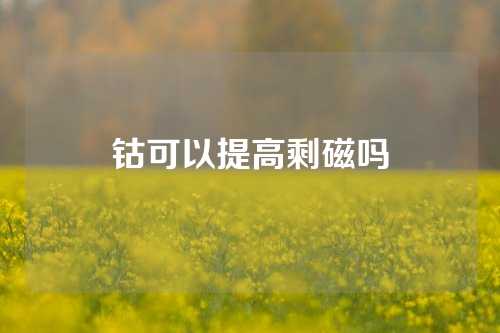 钴可以提高剩磁吗