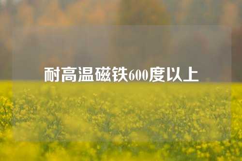 耐高温磁铁600度以上