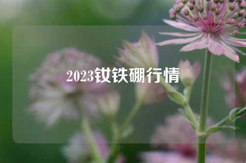 2023钕铁硼行情