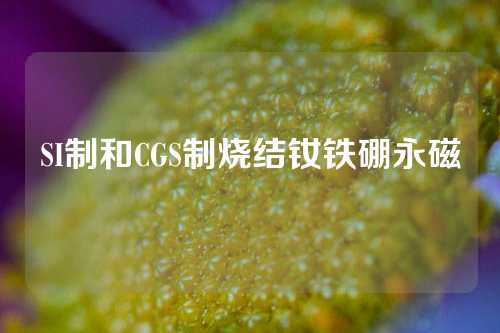 SI制和CGS制烧结钕铁硼永磁