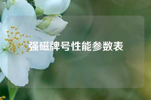 强磁牌号性能参数表